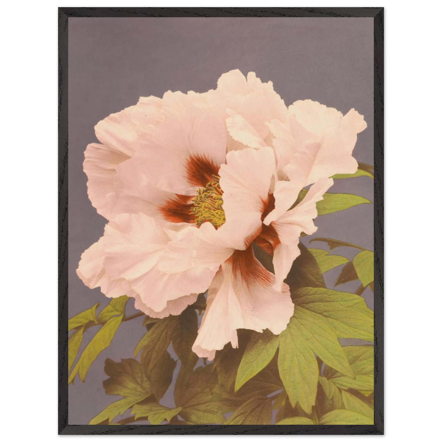 005e3fa0-0132-4bdc-9187-0c8279b80dc8