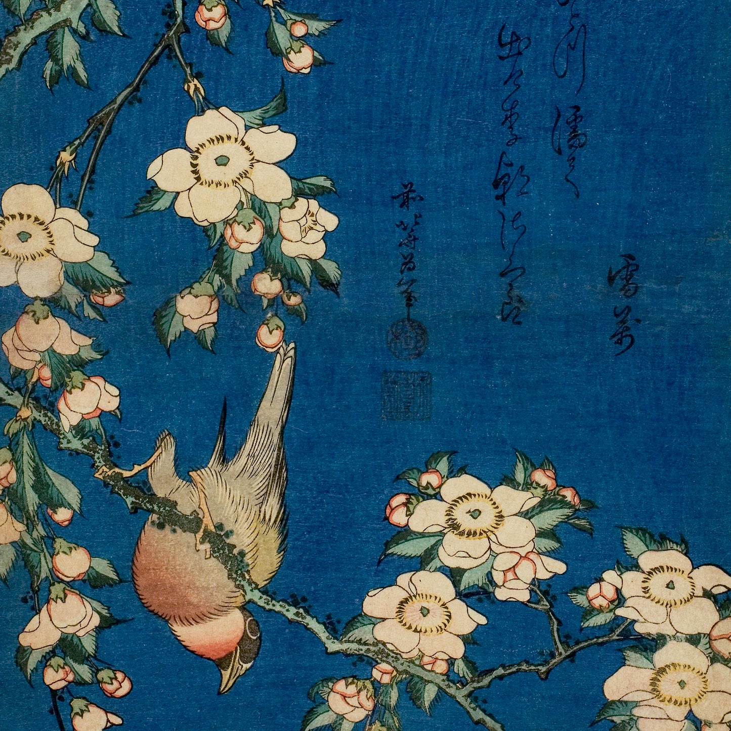Katsushika Hokusai - Bullfinch and Weeping Cherry - gerahmter Druck