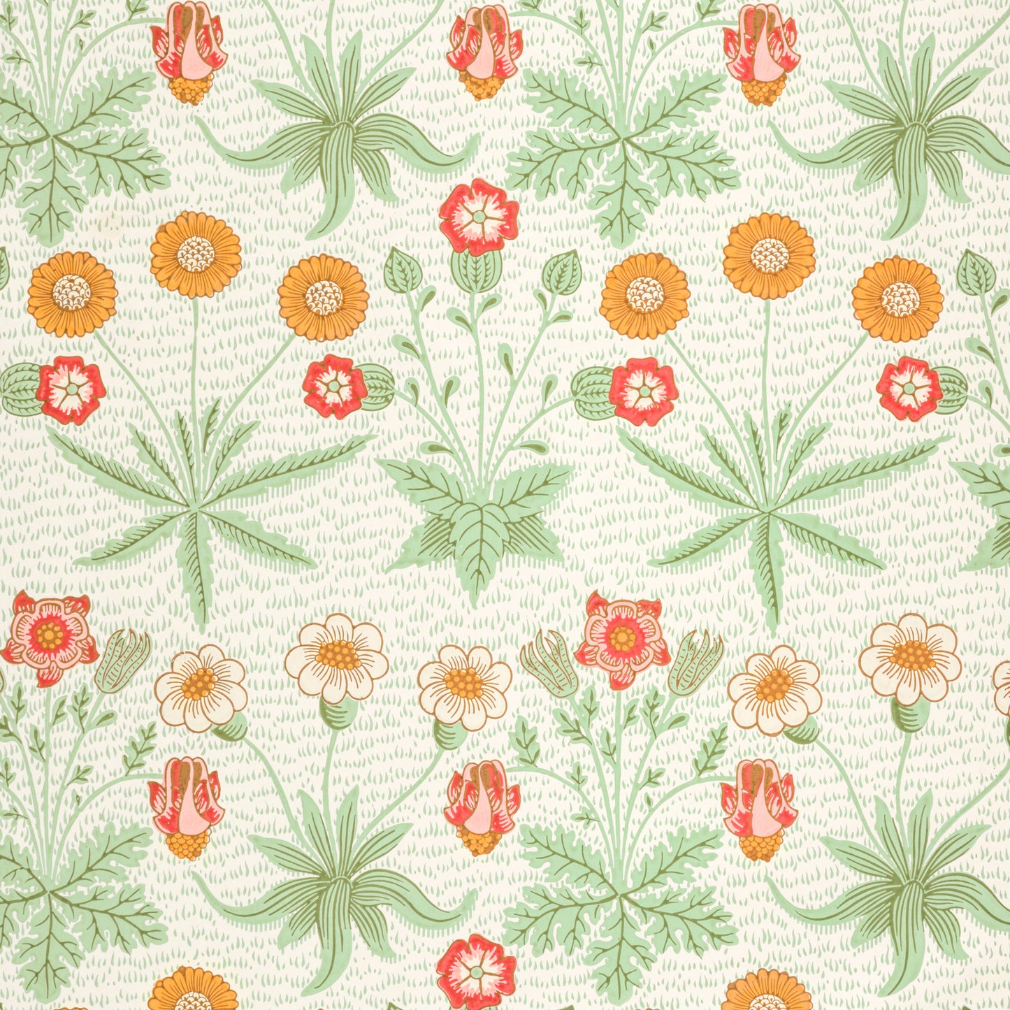 William Morris - Daisy - gerahmter Druck