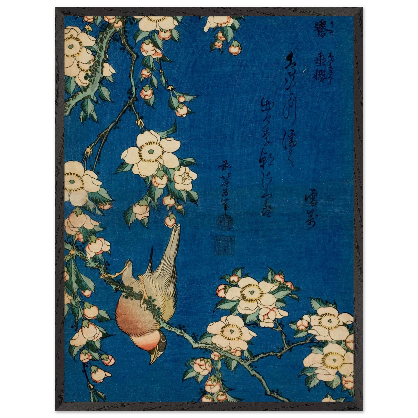 1a4596f4-05c5-43da-891d-28c795b779a6