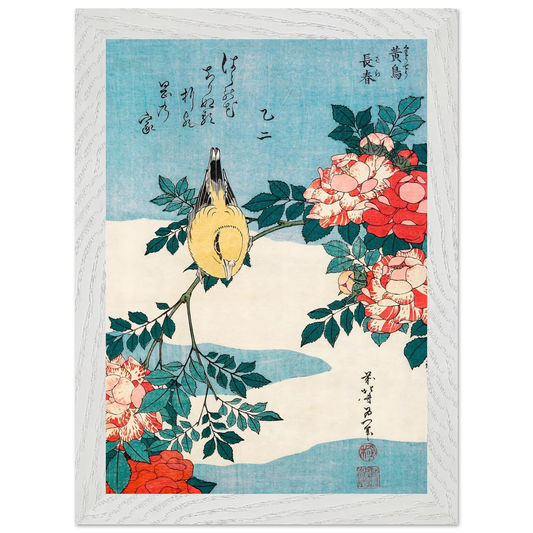 507bbbc3-c74a-438d-b882-dd350f1e75ad