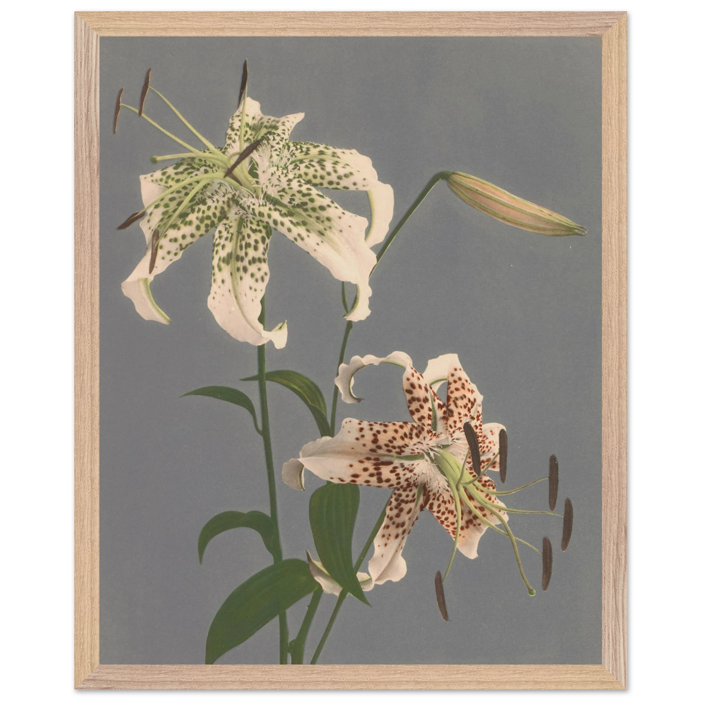5a30a01b-6cad-4ef7-b552-fc2123f2ae84