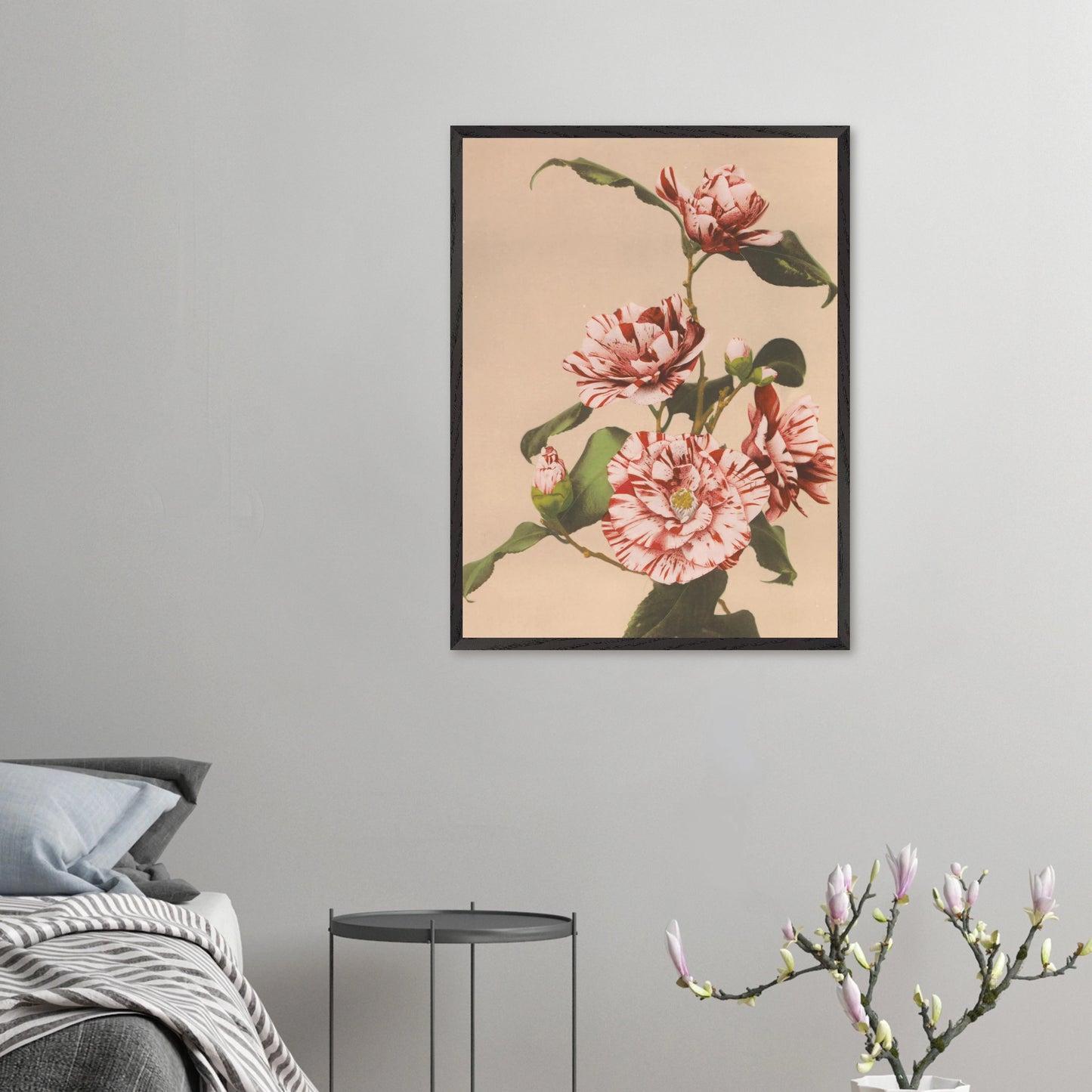 Ogawa Kazumasa - Striped Camellia - gerahmter Druck