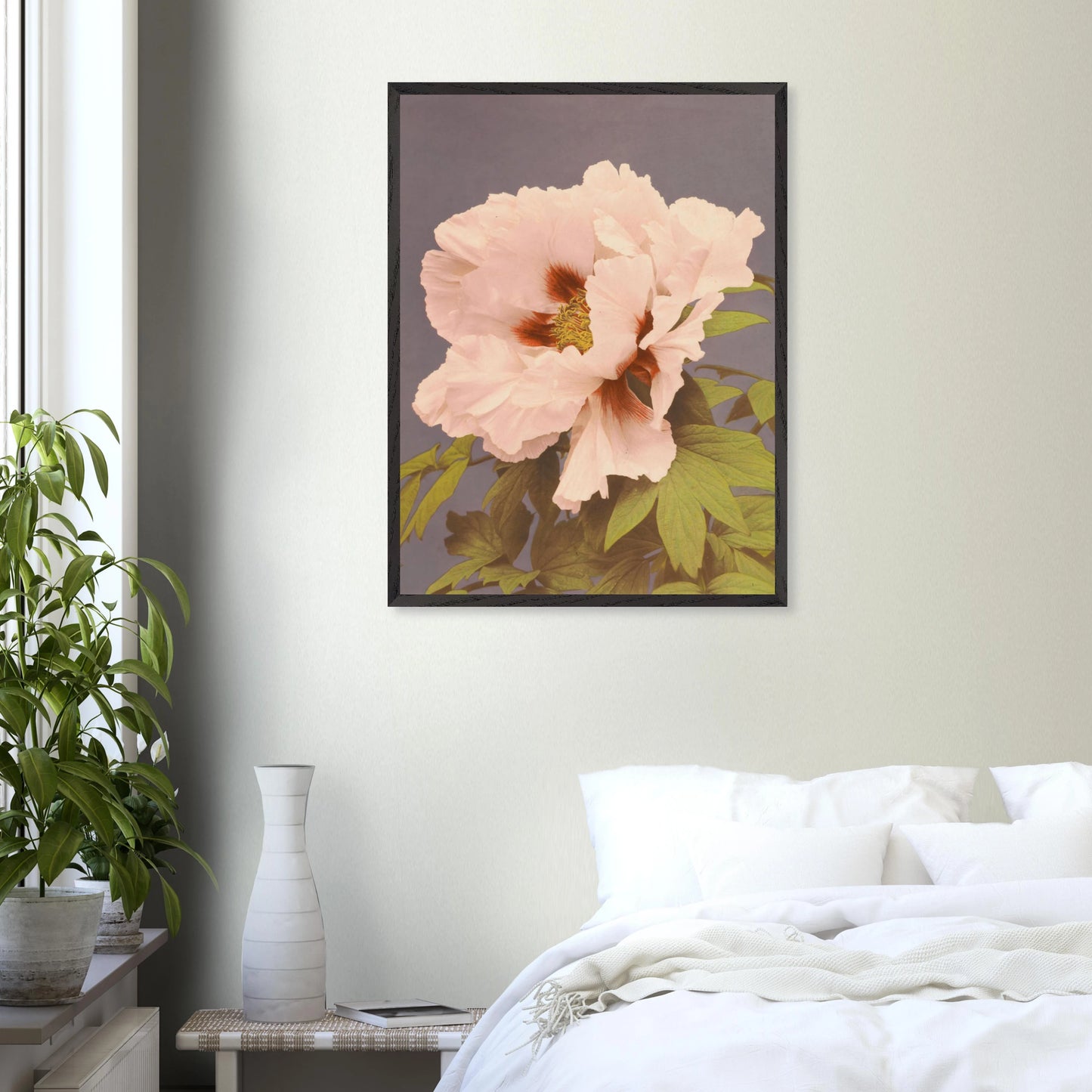 Ogawa Kazumasa - Paeonia arborea - gerahmter Druck