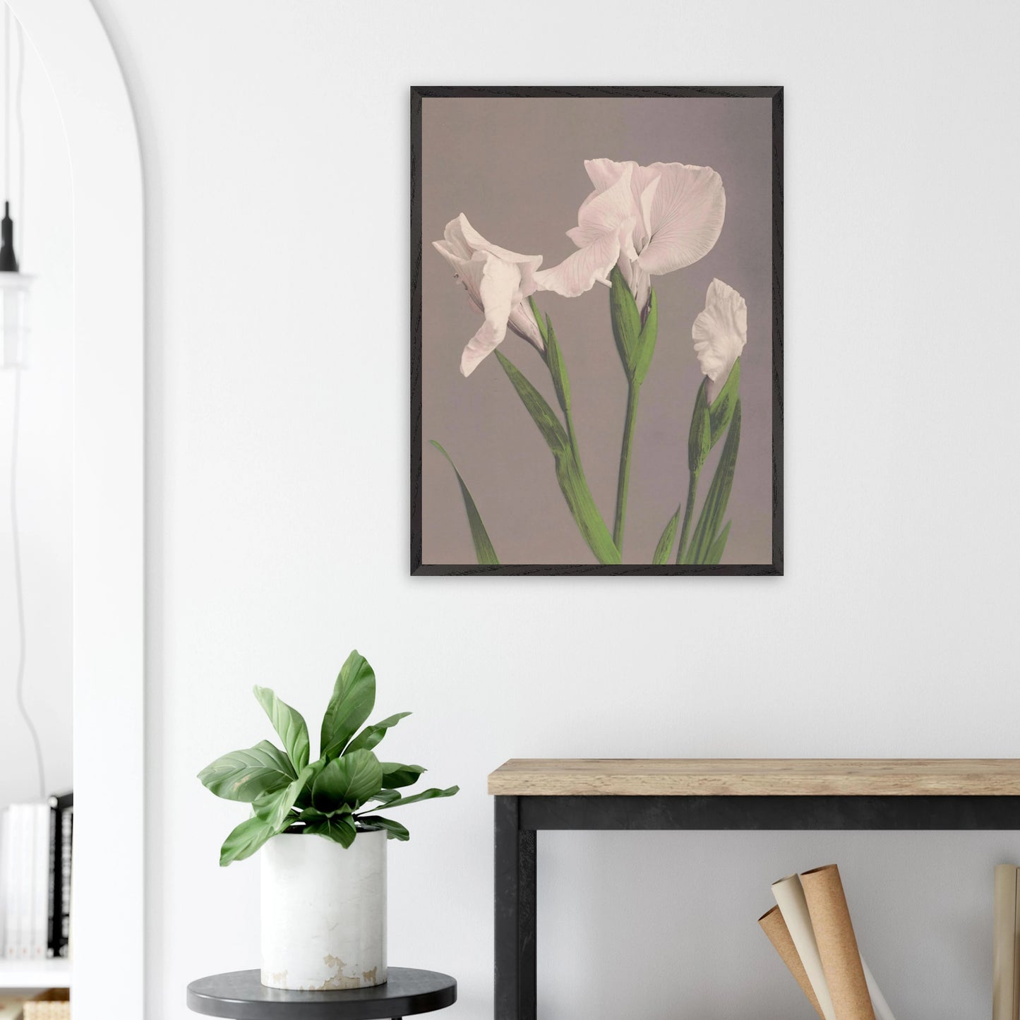 Ogawa Kazumasa - White Irises - gerahmter Druck