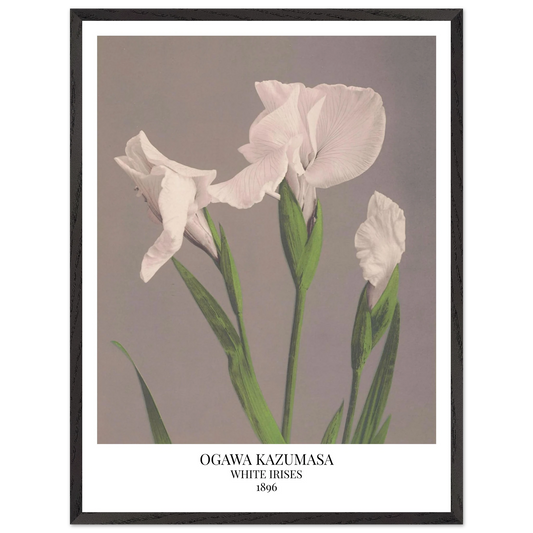 cdbe05c9-0211-42d6-aded-519f4fff95d6