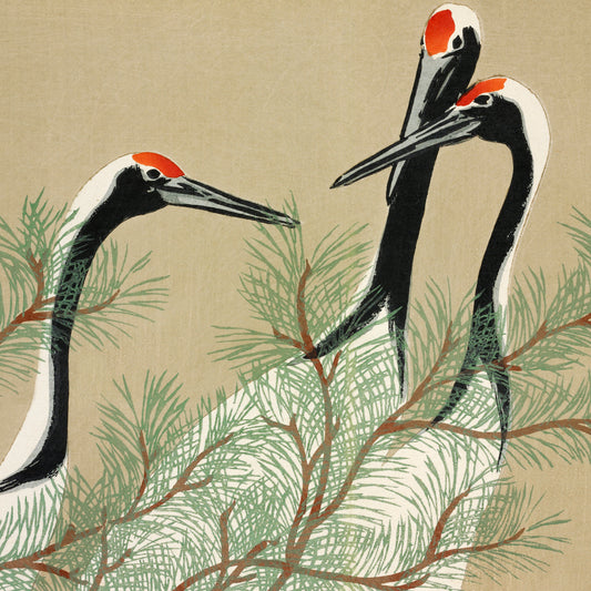 Kamisaka Sekka - Cranes - gerahmter Druck