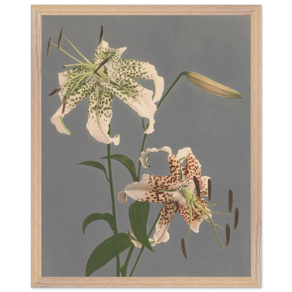 5a30a01b-6cad-4ef7-b552-fc2123f2ae84