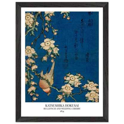99c3d80f-48b1-4541-80ac-dccfaeab5989